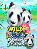 918kiss สมัคร 50: วิธีเล่นเกมสุดมันส์