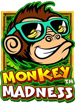 เคล็ดลับการสมัคร สมาชิก xo และเริ่มเล่นสล็อตอย่างเซียน